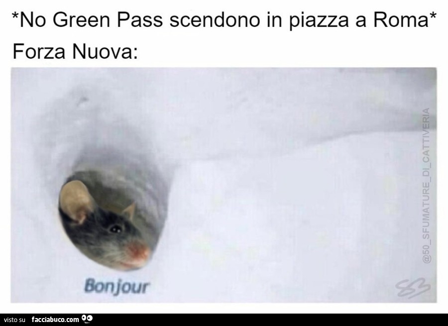 No green pass scendono in piazza a roma. Forza nuova: bonjour