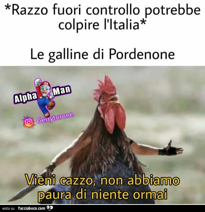 Tutti I Meme Sulle Galline