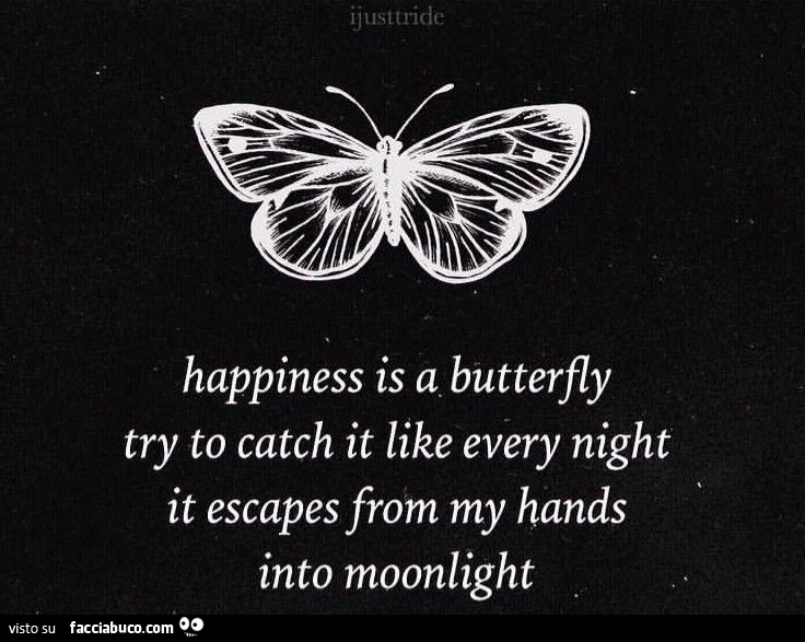 Happiness is a butterfly try to catch it like every night it escapes from my hands into moonlight