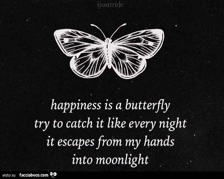 Happiness is a butterfly try to catch it like every night it escapes from my hands into moonlight