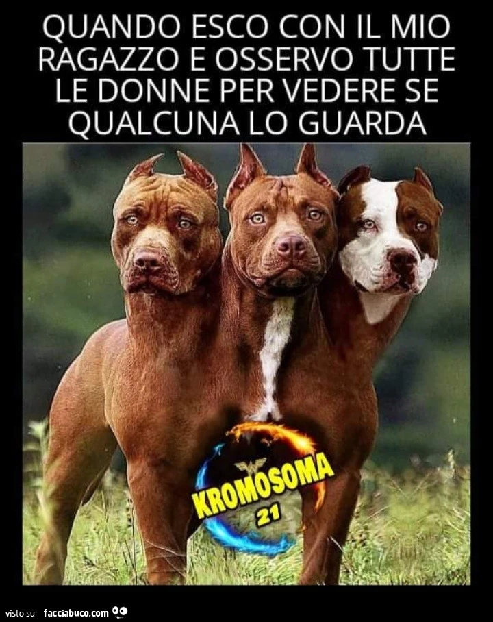 Quando esco con il mio ragazzo e osservo tutte le donne