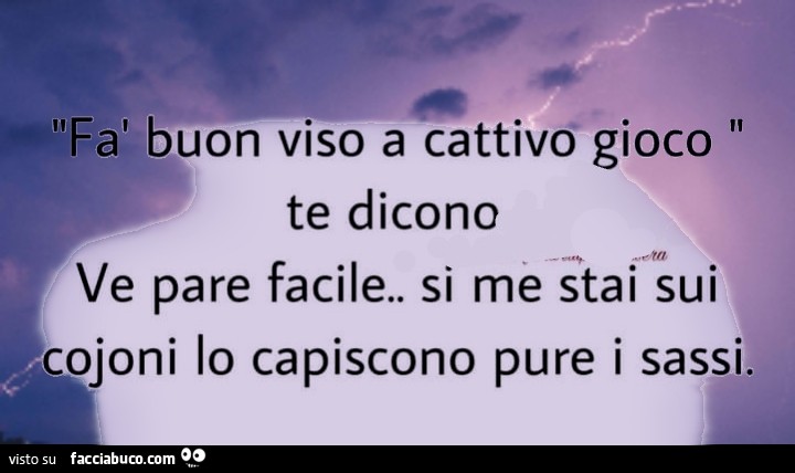 Fà buon viso a cattivo gioco"te dicono Ve pare facile. Si me stai sui cojoni lo capiscono pure i sassi