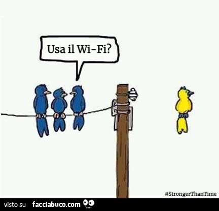 Uccellini: usa il wi-fi?