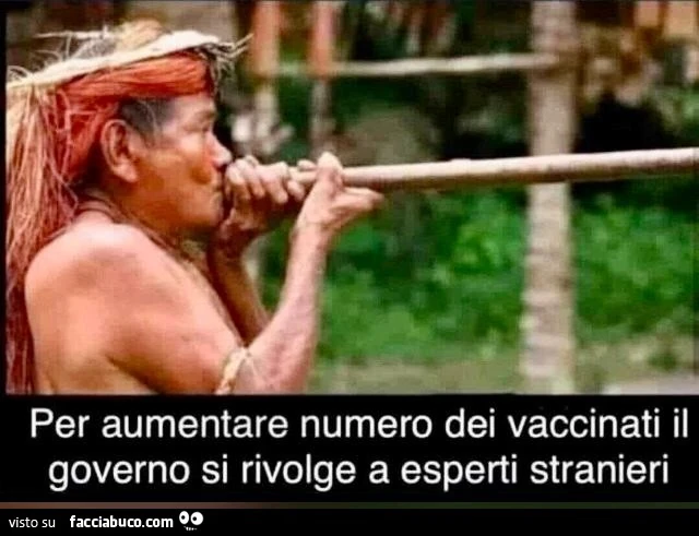 Vaccata
