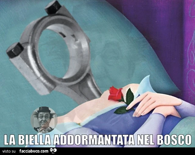 La Biella addormentata nel bosco
