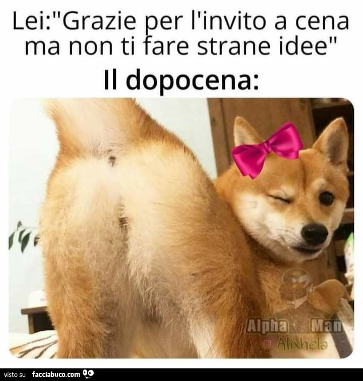 Lei grazie per l'invito a cena ma non ti fare strane idee