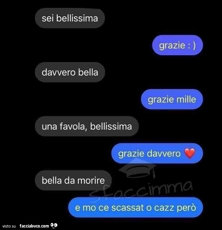 Sei bellissima. Grazie. Davvero bella. Grazie mille. Una favola, bellissima. Grazie davvero. Bella da morire. E mo ce scassat o cazz però