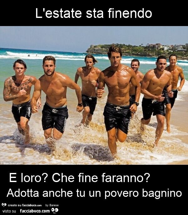 L'estate sta finendo e loro? Che fine faranno? Adotta anche tu un povero bagnino