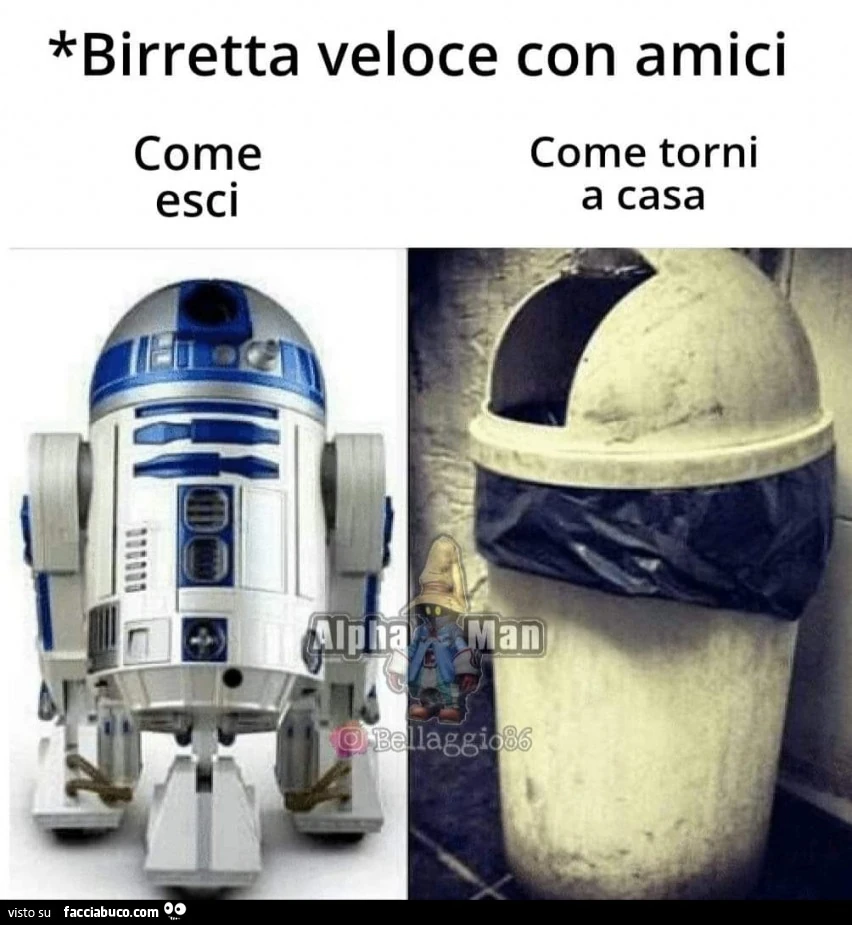Vaccata