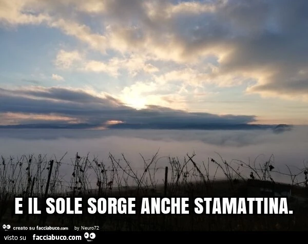 E il sole sorge anche stamattina