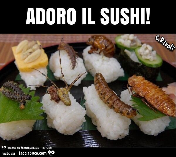Adoro il sushi