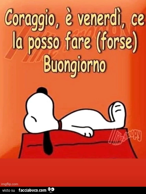Coraggio, è Venerdì ce la posso fare forse. Buongiorno