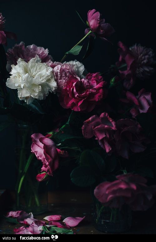 Fiori con petali che cadono