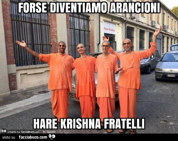Forse diventiamo arancioni hare krishna fratelli