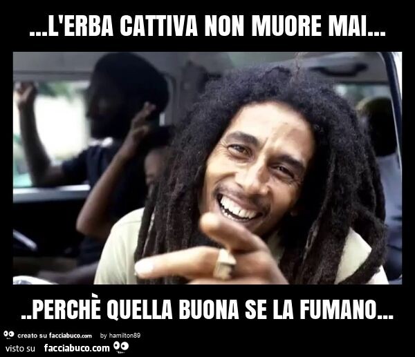 L'erba cattiva non muore mai… perchè quella buona se la fumano