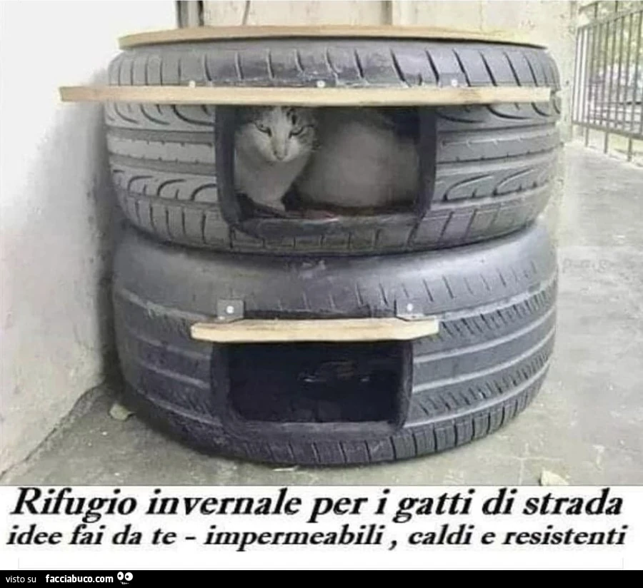 Gatti