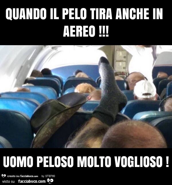 Quando il pelo tira anche in aereo! Uomo peloso molto voglioso