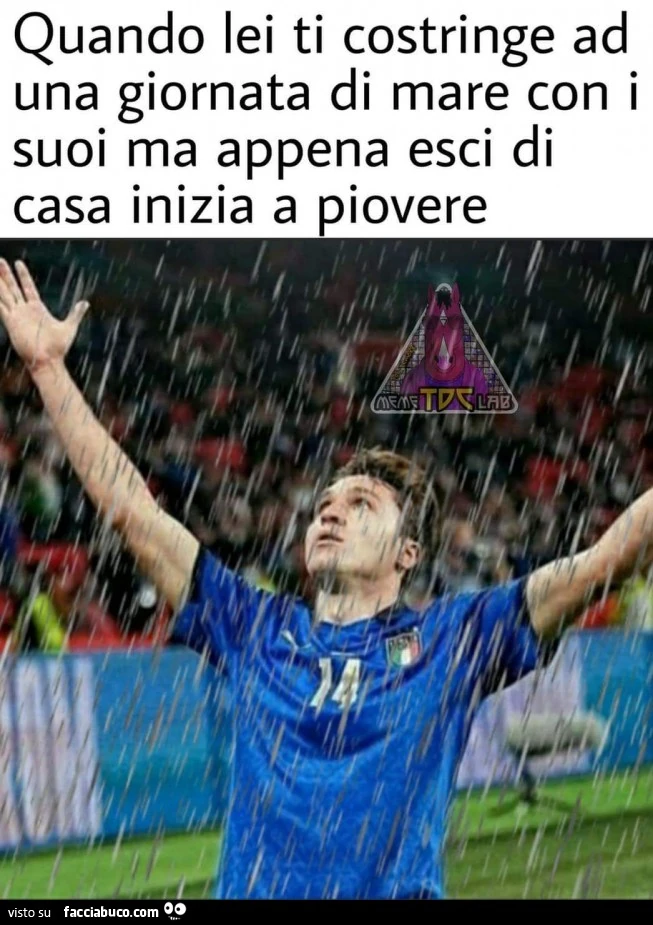Vaccata