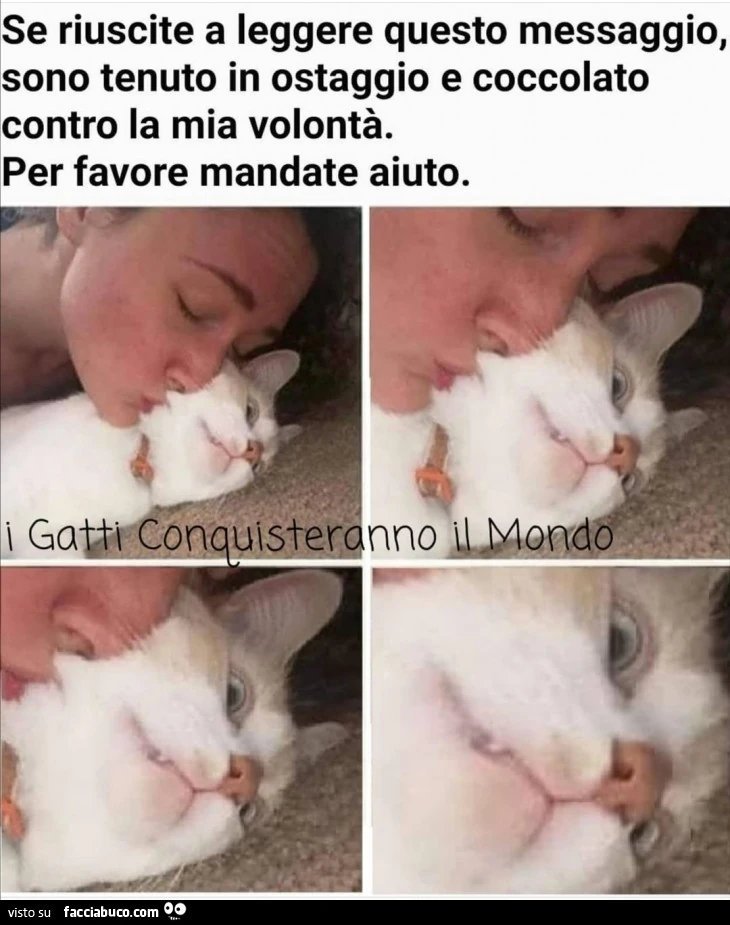 Vaccata