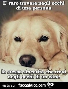 Occhi