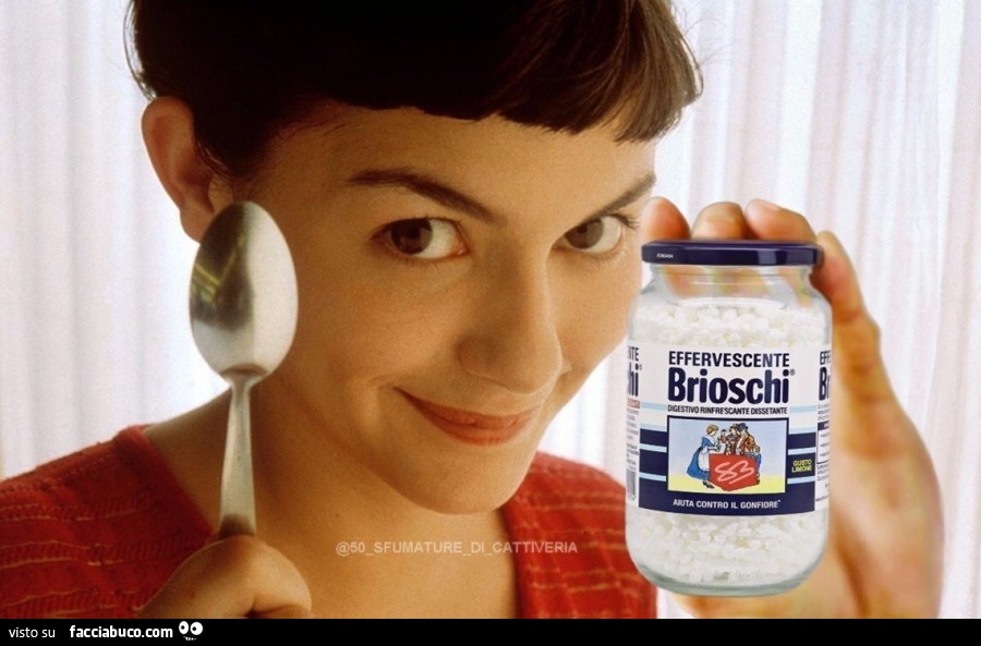 Il Favoloso Mondo di Amélie