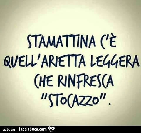Stamattina c'è quell'arietta leggera che rinfresca "Stocazzo"