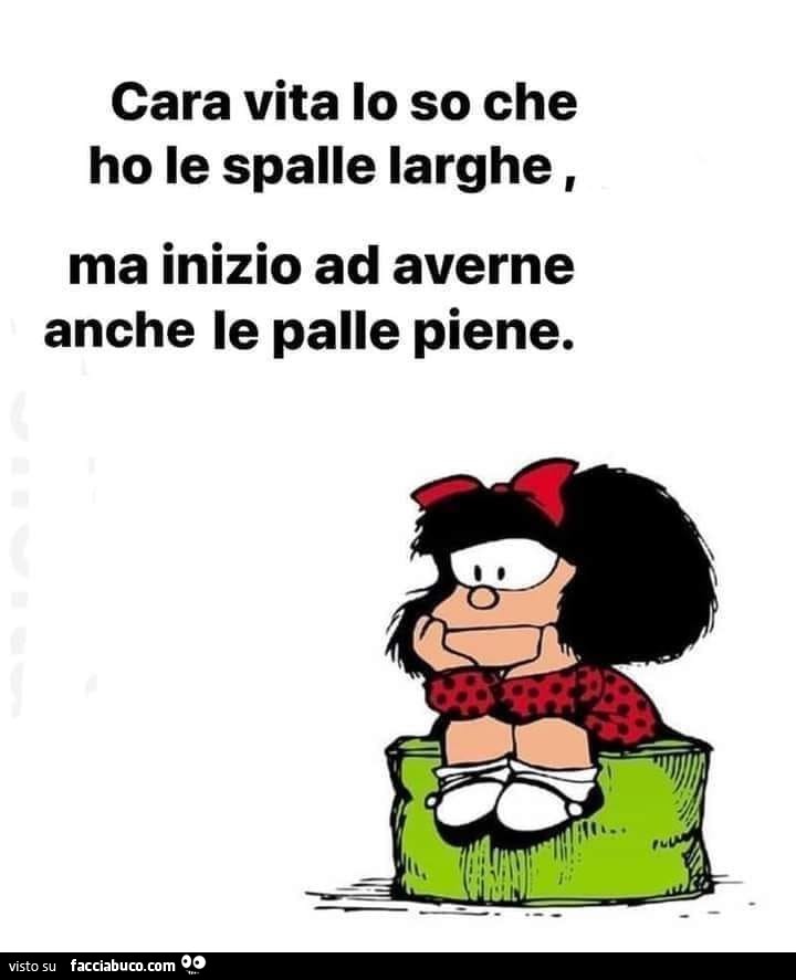 Cara vita io so che ho le spalle larghe, ma inizio ad averne anche le palle piene