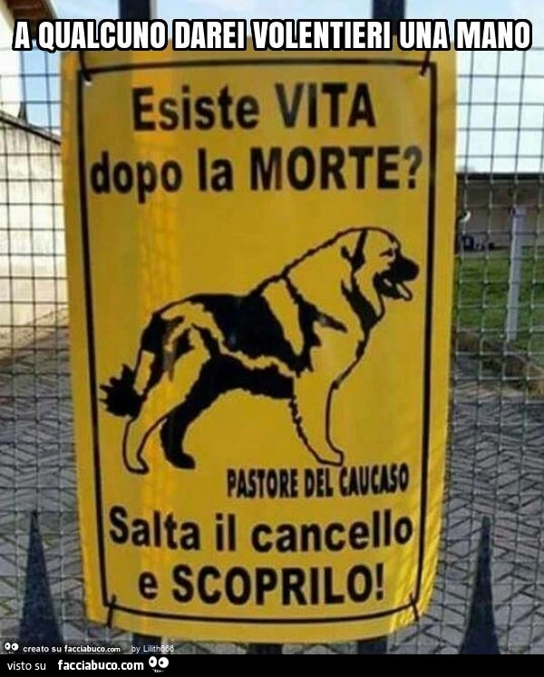 A qualcuno darei volentieri una mano