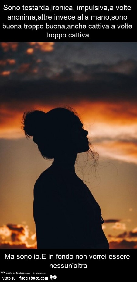 Sono testarda, ironica, impulsiva, a volte anonima, altre invece alla mano, sono buona troppo buona, anche cattiva a volte troppo cattiva. Ma sono io. E in fondo non vorrei essere nessun'altra