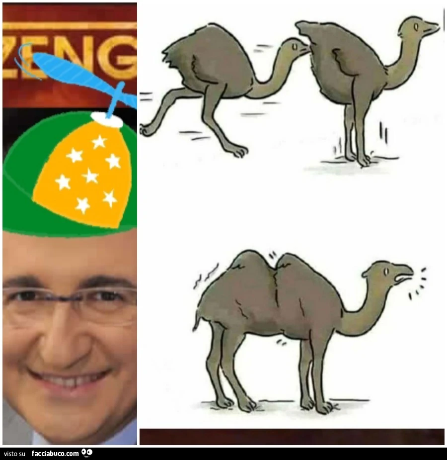 Come รจ nato il cammello. Evoluzione