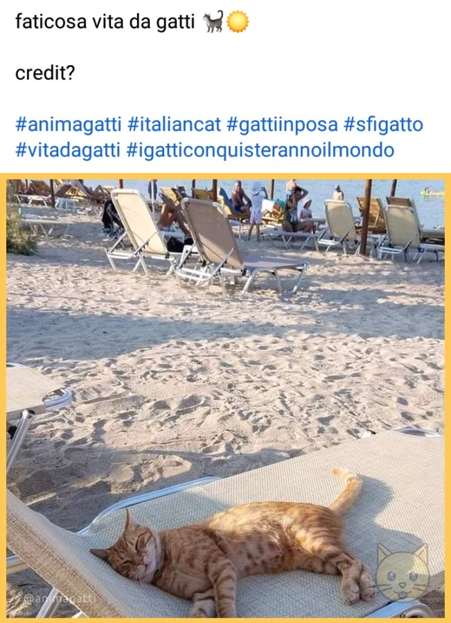 Vaccata