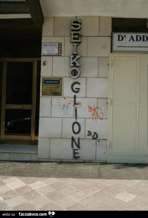 Coglione
