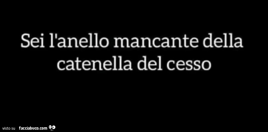 Sei l'anello mancante della catenella del cesso