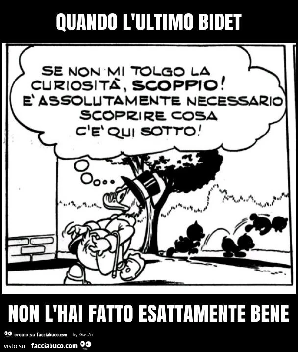 Quando l'ultimo bidet non l'hai fatto esattamente bene