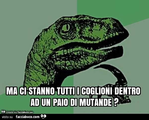Ma ci stanno tutti i coglioni dentro ad un paio di mutande?