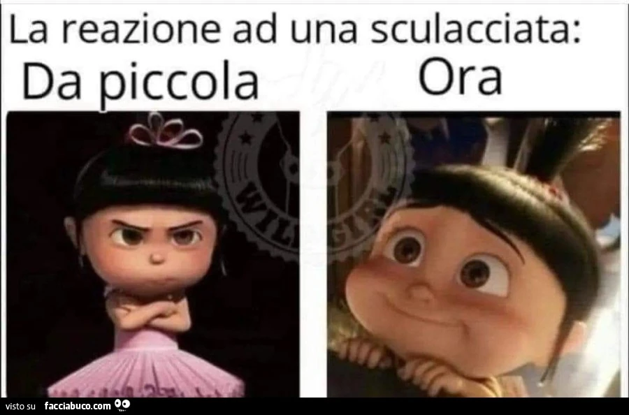 Vaccata