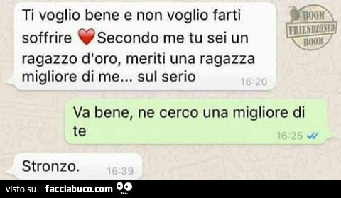 Ti voglio bene e non voglio farti soffrire. Secondo me tu sei un ragazzo d'oro, meriti una ragazza migliore di me… sul serio. Va bene, ne cerco una migliore di te. Stronzo