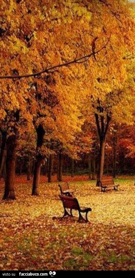 Panchine in autunno