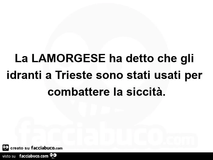 La lamorgese ha detto che gli idranti a trieste sono stati usati per combattere la siccità
