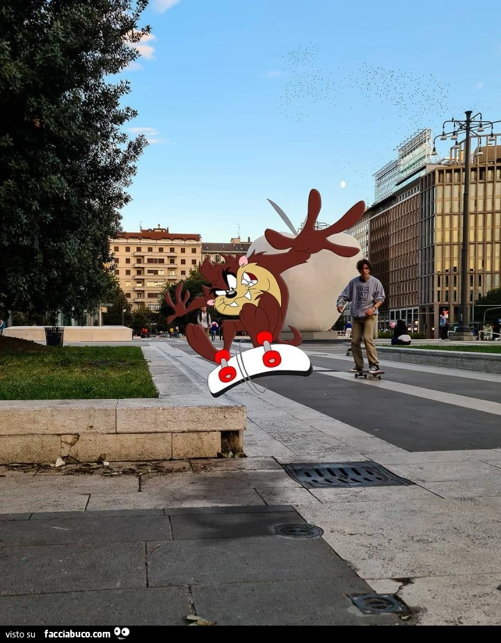 Vaccata
