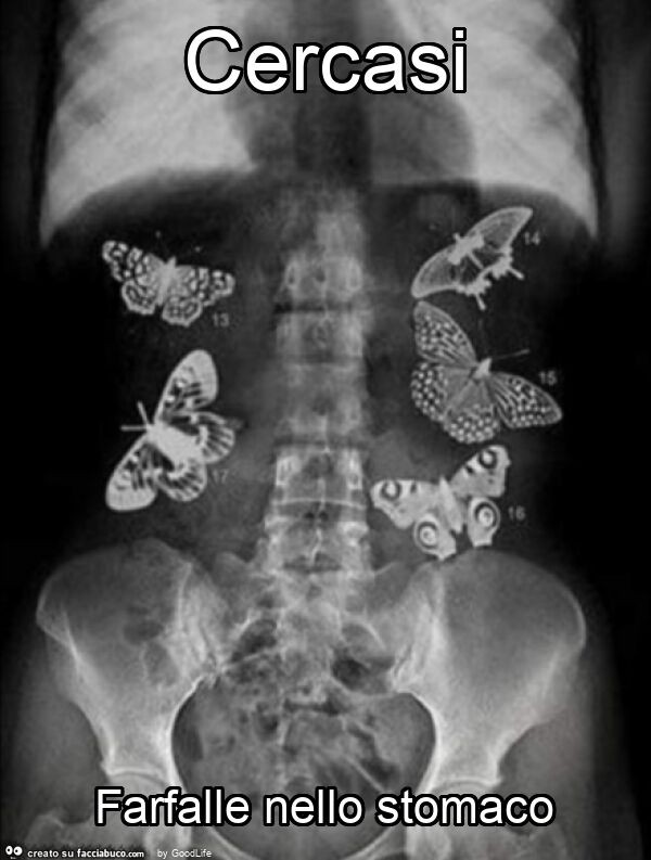 Cercasi farfalle nello stomaco