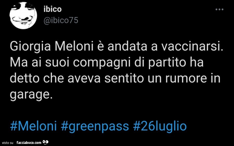 Giorgia Meloni è andata a vaccinarsi. Ma ai suoi compagni di partito ha detto che aveva sentito un rumore in garage
