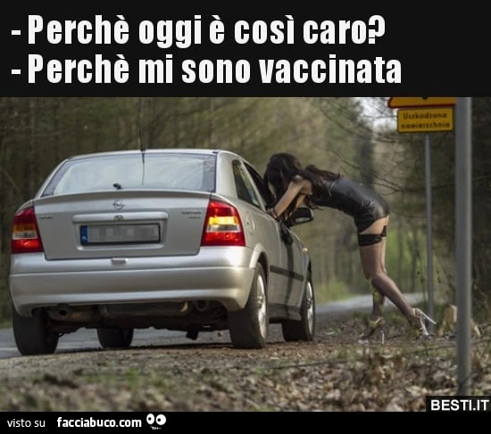Vaccata