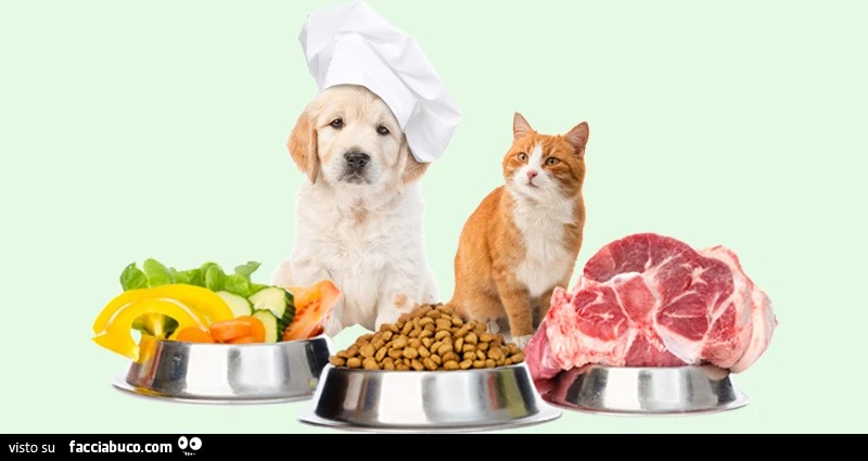 Masterchef