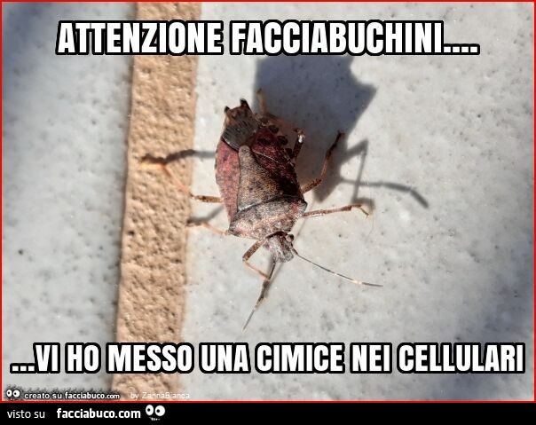 Attenzione facciabuchini… vi ho messo una cimice nei cellulari