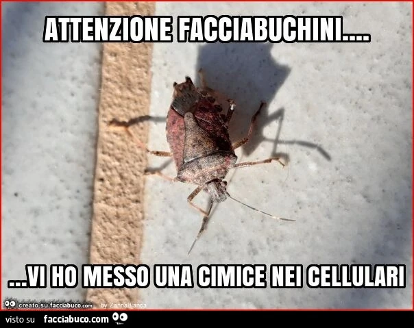 Attenzione facciabuchini&hellip; vi ho messo una cimice nei cellulari