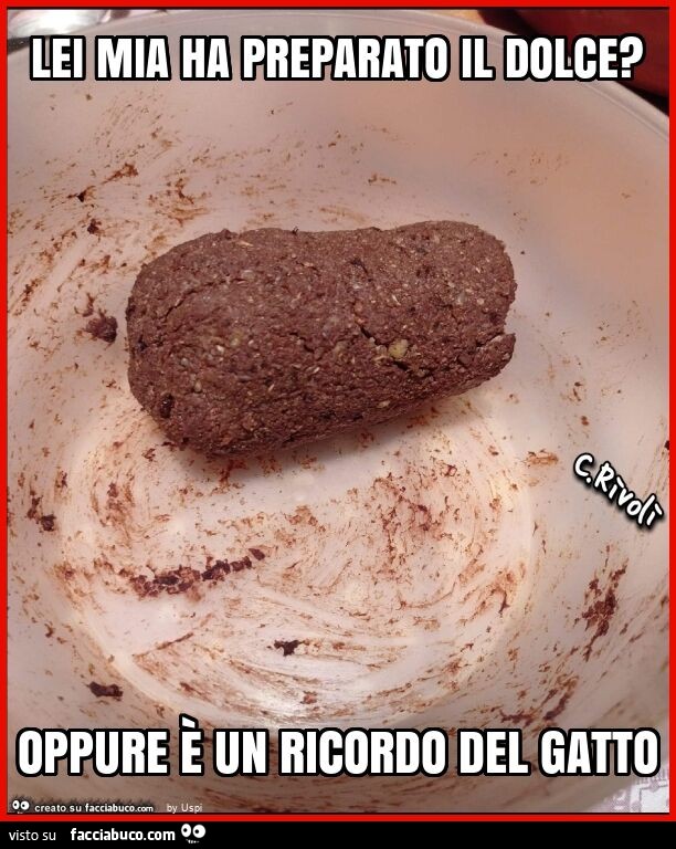 Lei mia ha preparato il dolce? Oppure è un ricordo del gatto