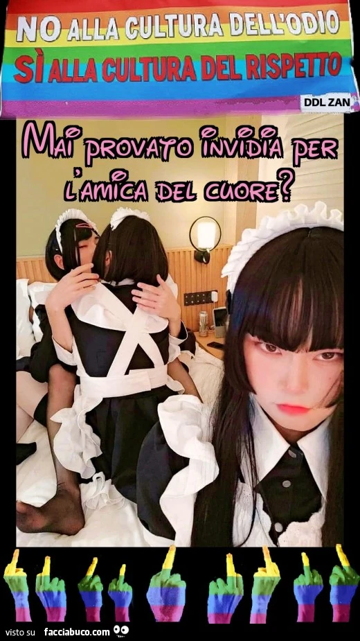 Ddl zan significato