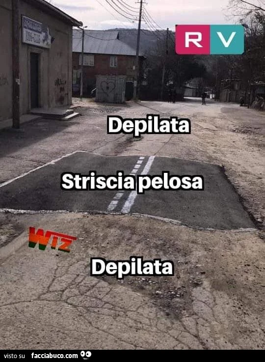 Vaccata