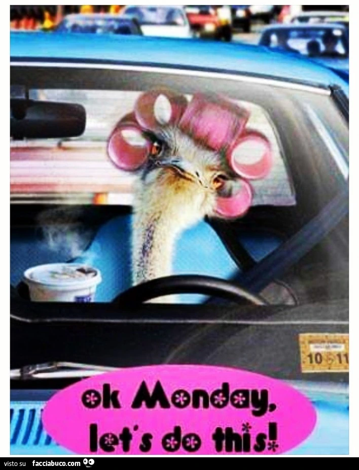 Ok Monday let's do this